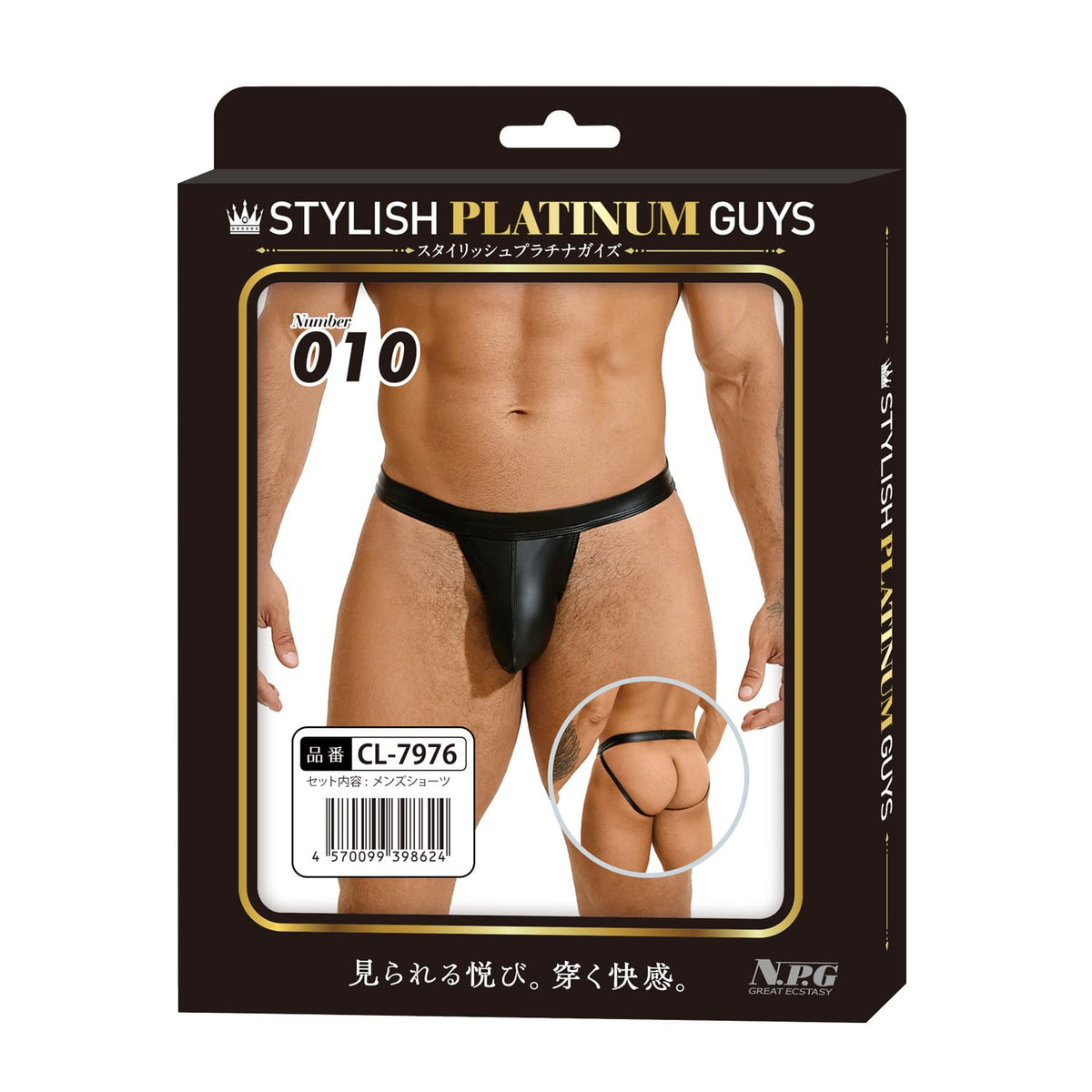 Stylish Platinum Guys - Men's Sheer Underwear Collection