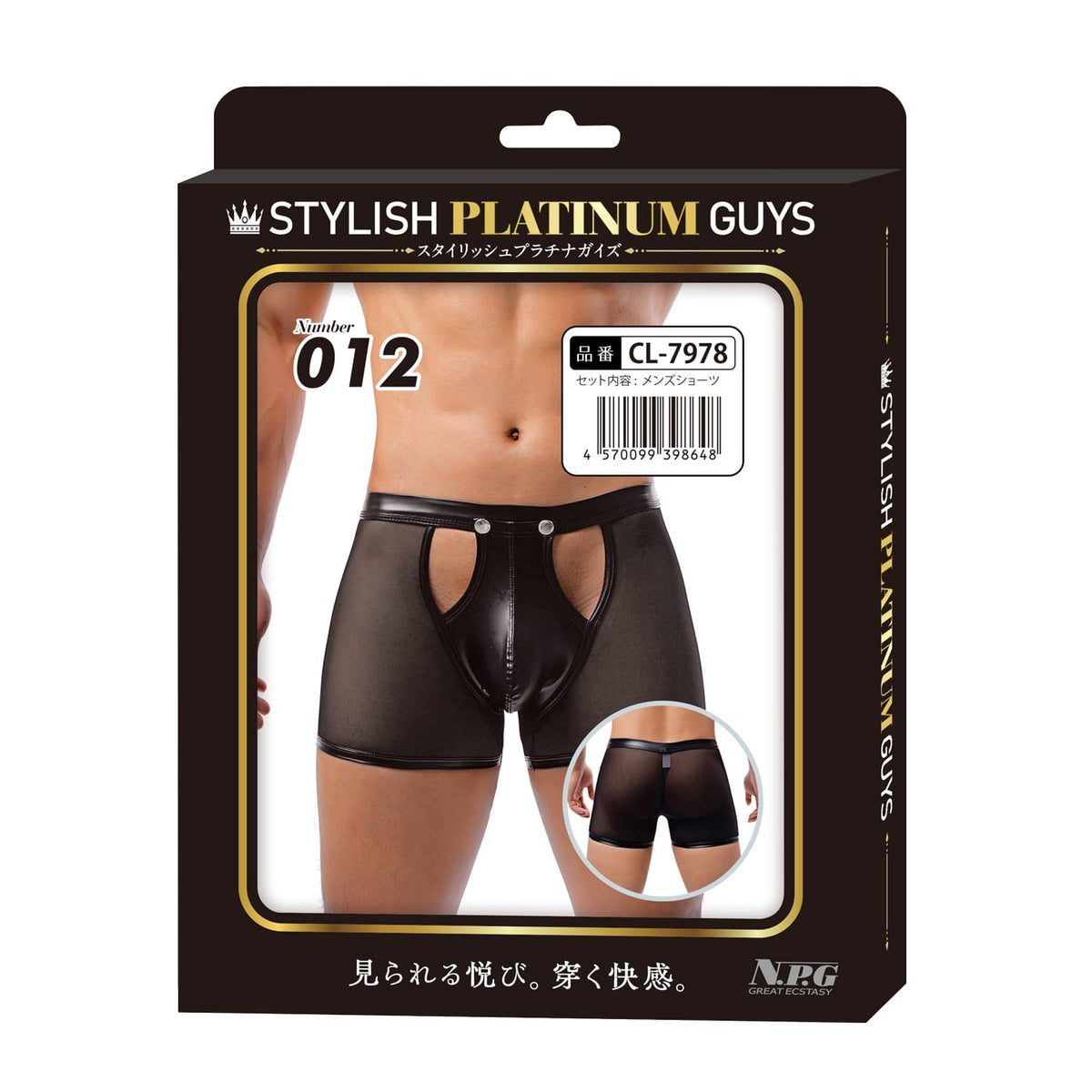 Stylish Platinum Guys - Men's Sheer Underwear Collection