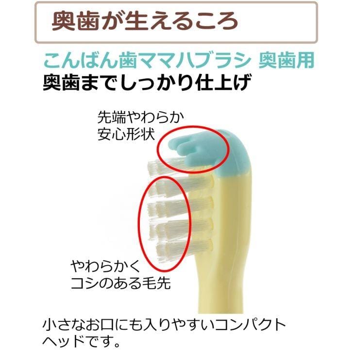 Richell - T.L.I Try Good Evening Tooth Mama Baby Toothbrush For Back Teeth (2 Pieces)    Baby Toothbrush