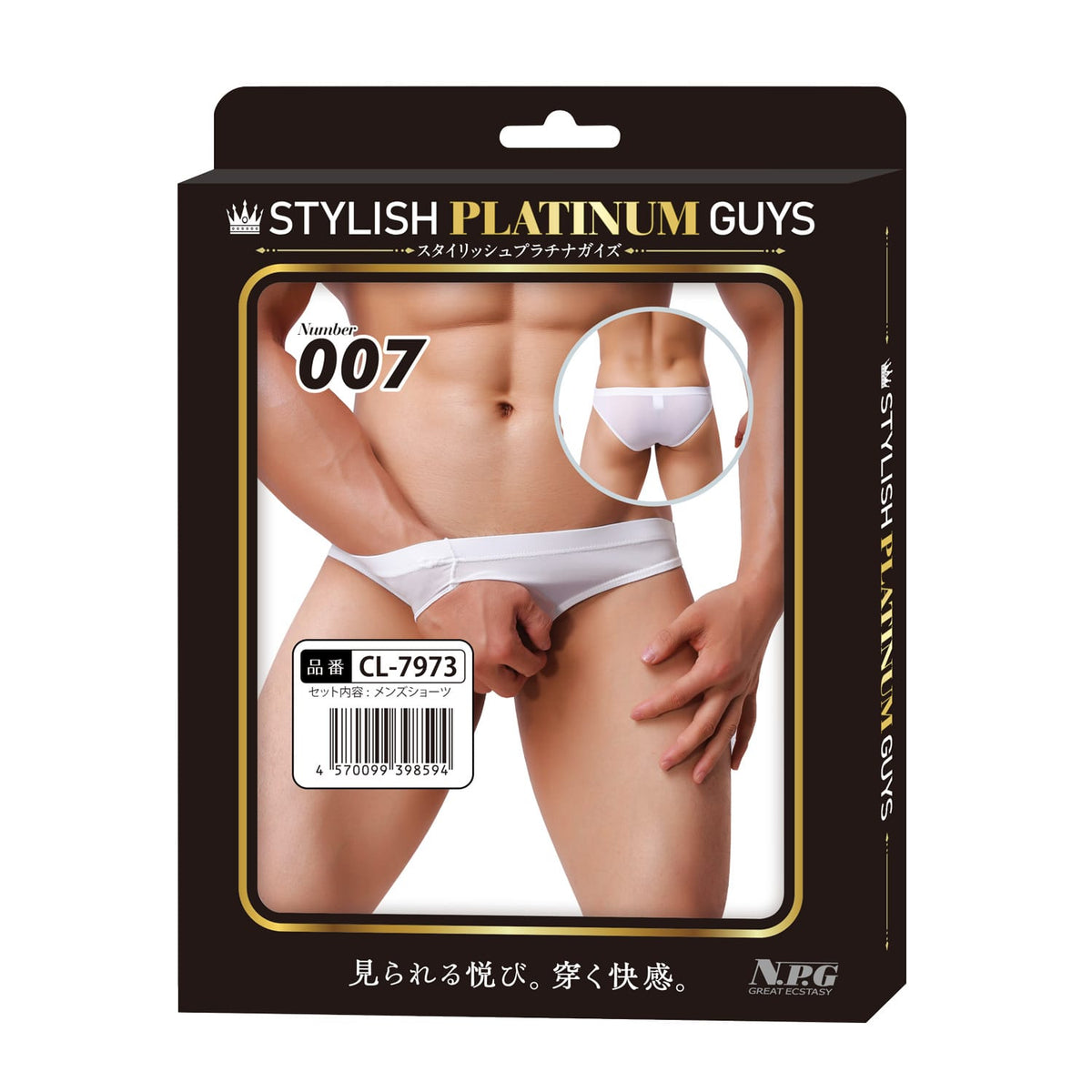 Stylish Platinum Guys - Men's Sheer Underwear Collection CherryAffairs