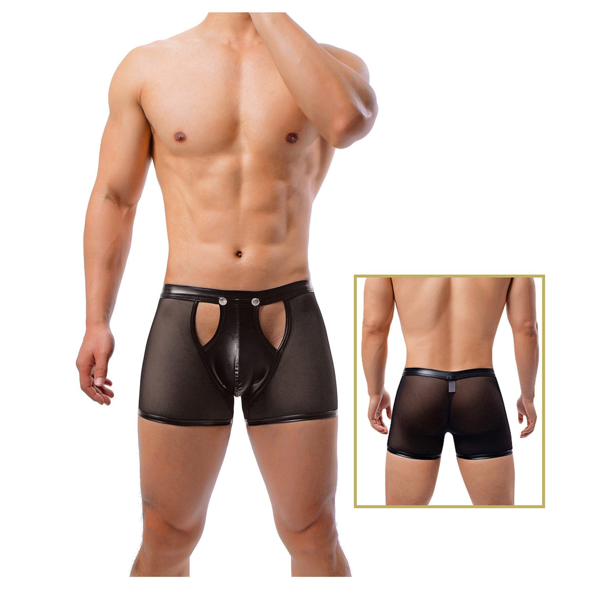 Stylish Platinum Guys - Men's Sheer Underwear Collection CherryAffairs