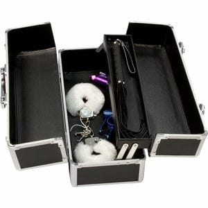 BMS - PowerBullet Lockable Sex Toy Storage Box Case - CherryAffairs.sg