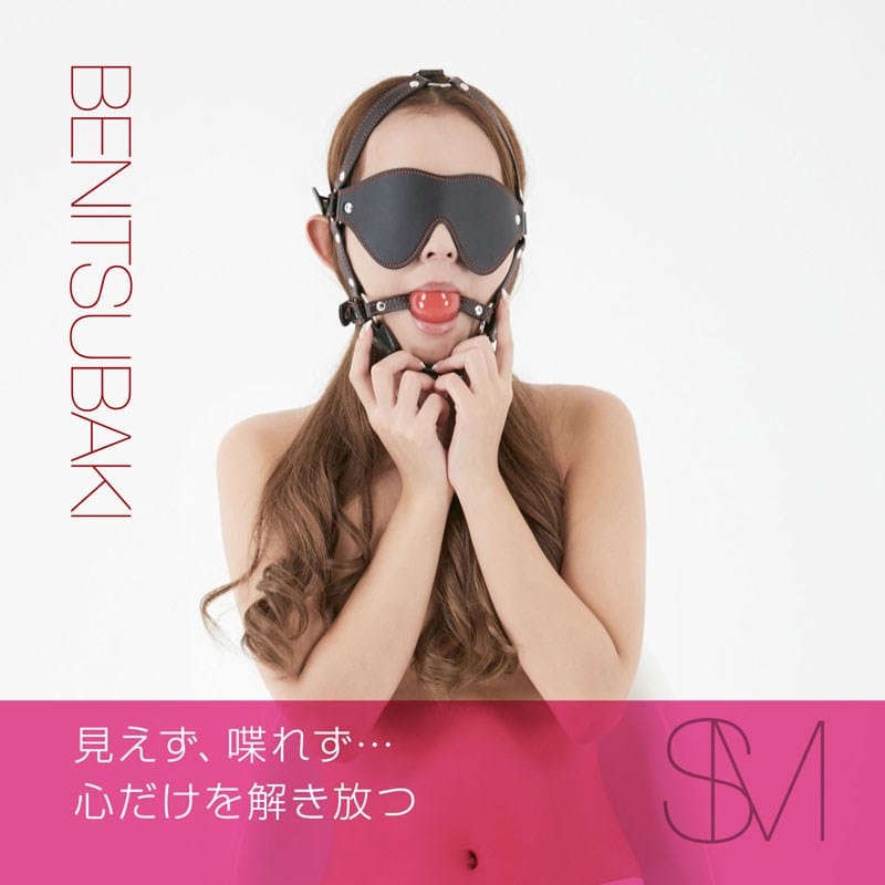 NPG - Benitsubaki Ball Gag with Blindfold Set (Black) NPG1219 CherryAffairs