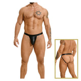 Stylish Platinum Guys - Men's Sheer Underwear Collection