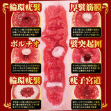 NPG - Proof of a Masterpiece 16 Kanna Seto Realistic 3D Torso Masturbator (Beige)