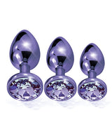 Nixie - Metal Jeweled Anal Plug Training Set (Metallic Purple) - Metallic Purple