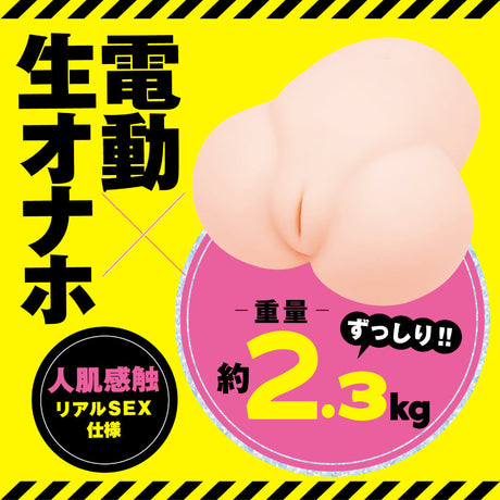 Hato Pura - PuniAna Lloyd DX REAL Rechargeable Torso Masturbator – product view 2