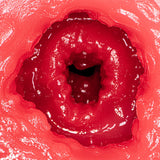 NPG - JULIA Complete Replica Dual Layer Onahole Masturbator – product view 6