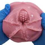 Tomax - Virgo Veritas Male Masturbator Onahole CherryAffairs