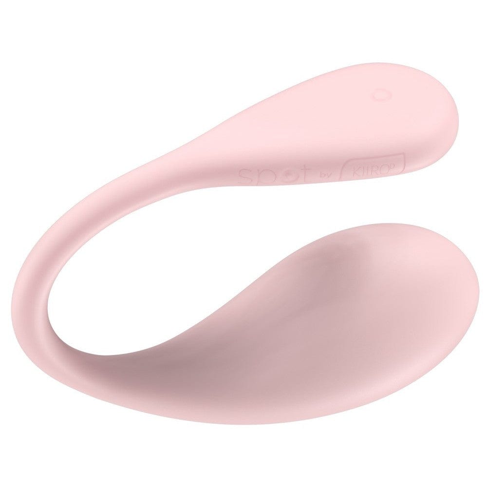 sex toys and bondage Kiiroo ProWand Vibrator