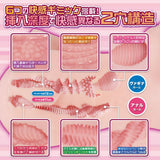 maccos japan - Junjou Karen Real Figure Dual Channel Torso Masturbator MCJ1004 CherryAffairs