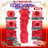 NPG - JULIA Complete Replica Dual Layer Onahole Masturbator NPG1383 CherryAffairs