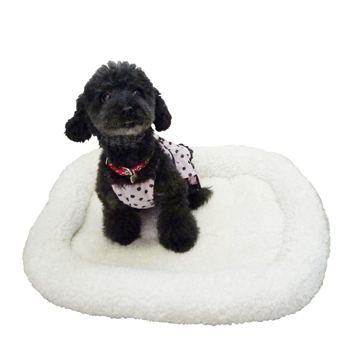 Pet Pro - Japan My Fluffy Pet Bed Size S (White) OT1226 CherryAffairs