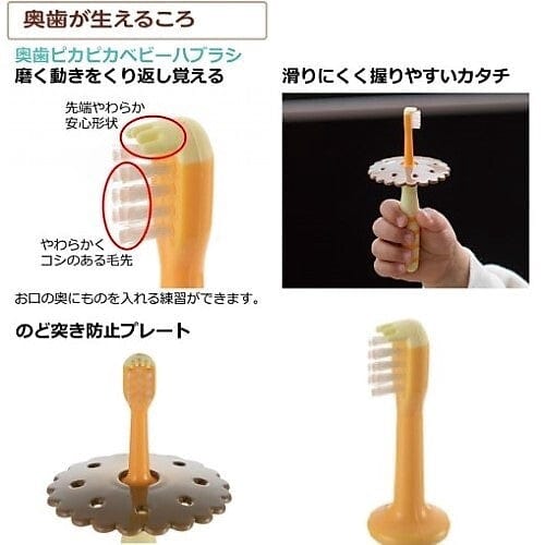 Richell - T.L.I Try Back Teeth Shiny Baby Toothbrush (2 Pieces)    Baby Toothbrush
