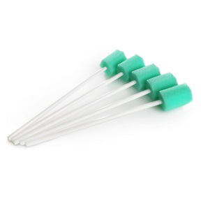 Seiraku Toys - Onahole Masturbator Cleaning Sponge 5pcs SRT1001 CherryAffairs
