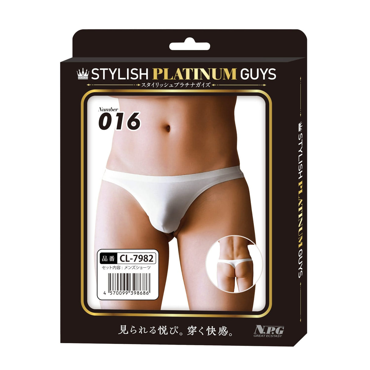 Stylish Platinum Guys - Men's Sheer Underwear Collection CherryAffairs