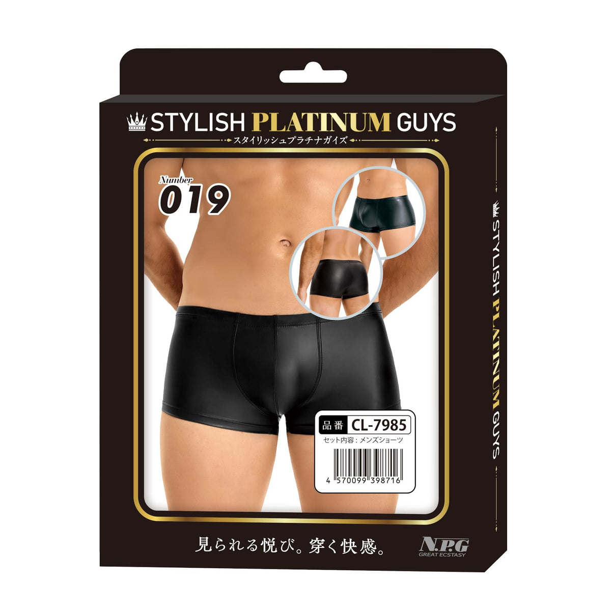 Stylish Platinum Guys - Men's Sheer Underwear Collection CherryAffairs