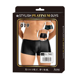 Stylish Platinum Guys - Men's Sheer Underwear Collection CherryAffairs