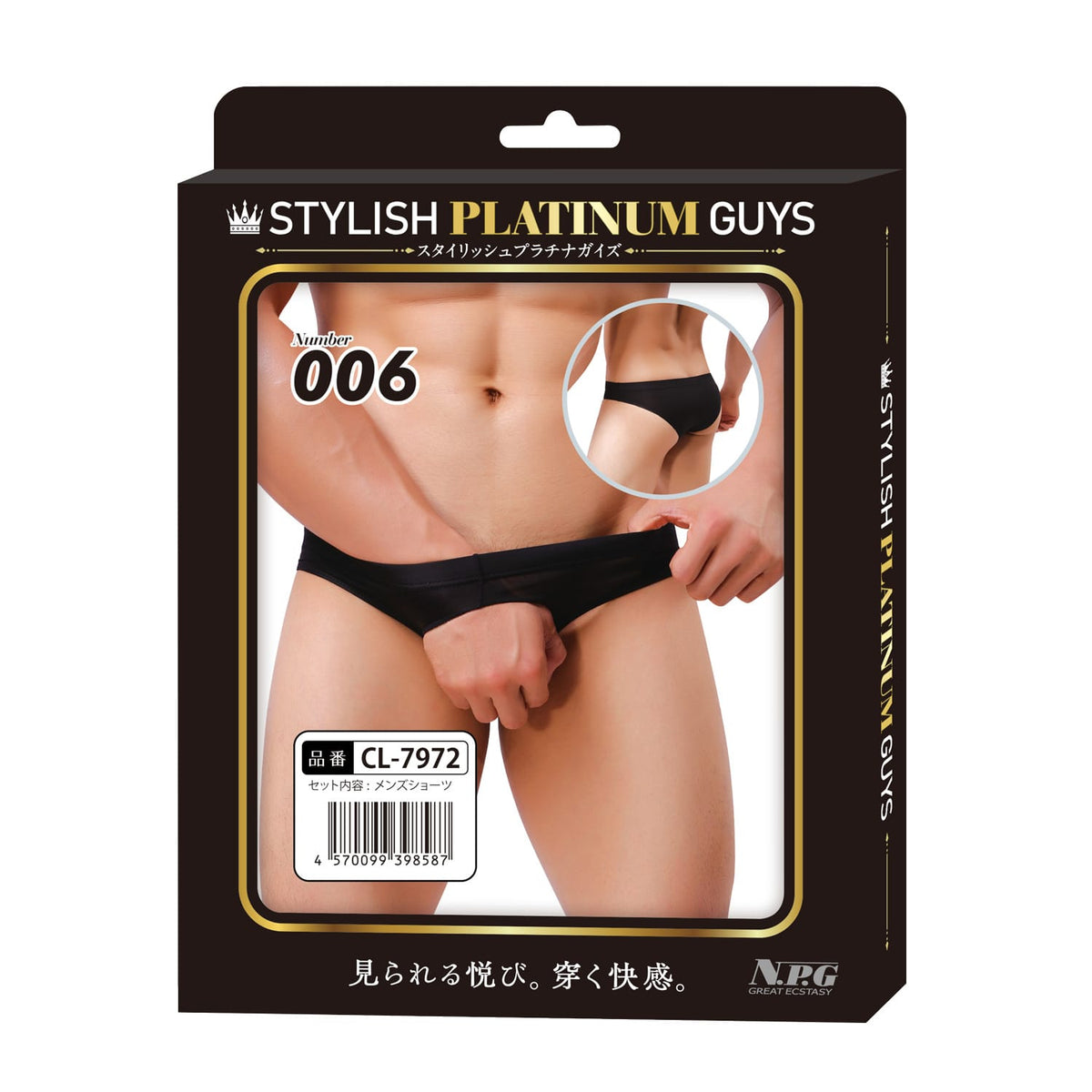 Stylish Platinum Guys - Men's Sheer Underwear Collection CherryAffairs