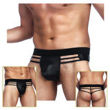 Stylish Platinum Guys - Men's Sheer Underwear Collection CherryAffairs