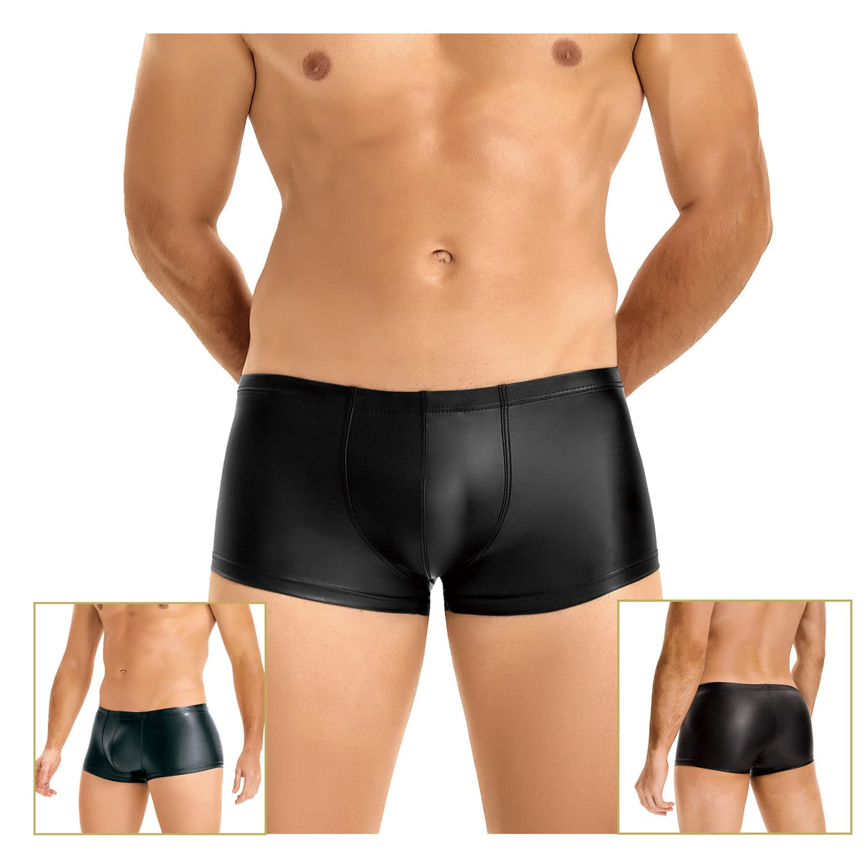 Stylish Platinum Guys - Men's Sheer Underwear Collection CherryAffairs