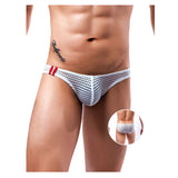 Stylish Platinum Guys - Men's Sheer Underwear Collection CherryAffairs