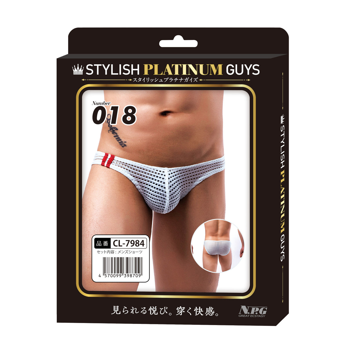 Stylish Platinum Guys - Men's Sheer Underwear Collection CherryAffairs