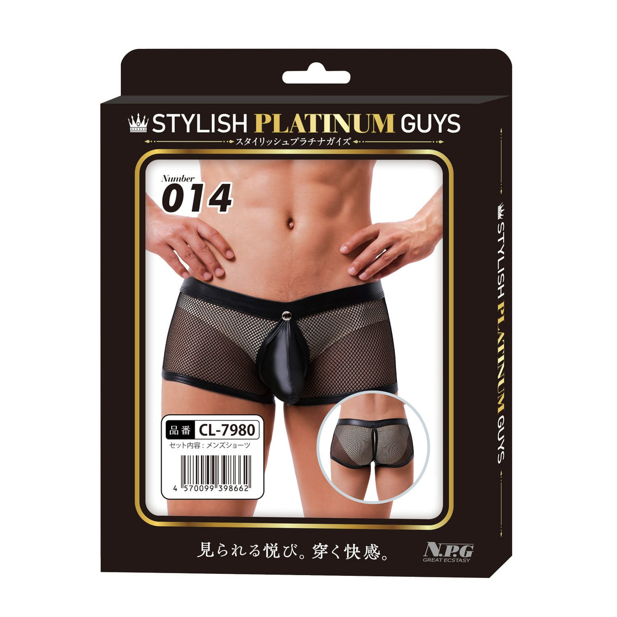 Stylish Platinum Guys - Men's Sheer Underwear Collection CherryAffairs