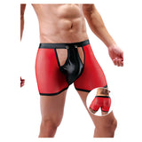 Stylish Platinum Guys - Men's Sheer Underwear Collection CherryAffairs