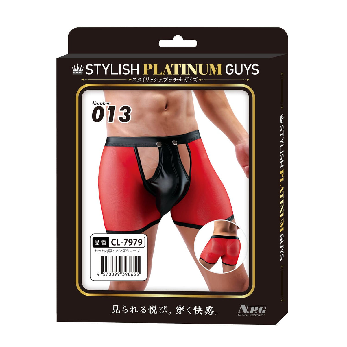 Stylish Platinum Guys - Men's Sheer Underwear Collection CherryAffairs