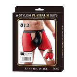 Stylish Platinum Guys - Men's Sheer Underwear Collection CherryAffairs