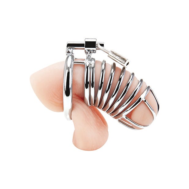 Blue Line - Deluxe Metal Chastity Cock Cage (Silver) BL1009 CherryAffairs