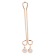 Entice - Crystal Intimate Clitoral Clip    Nipple Clamps (Non Vibration)