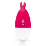 Love Honey - Happy Rabbit Knicker Panty Vibrator (Pink) LH1042 CherryAffairs