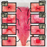 NPG - H hole of the Finest Beauty Sora Shiina Onahole (Beige) NPG1150 CherryAffairs